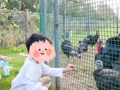 -前小桔亲子创意农场·草莓采摘·露营烧烤