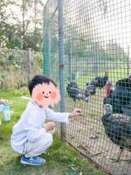 -前小桔亲子创意农场·草莓采摘·露营烧烤