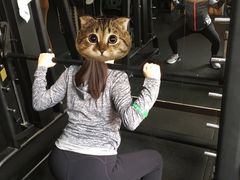 -RoMan罗马健身工作室(莘庄店)