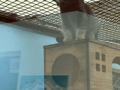 -青藏高原野生动物园