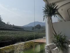 -龙坞茶村