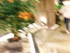 -园里火锅(仁和新城店)