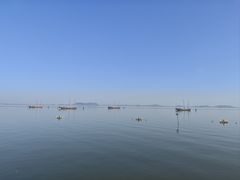 -贡湖湾湿地公园