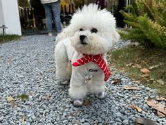 -J Create城市露营咖啡·简餐·宠物(上海动物园店)