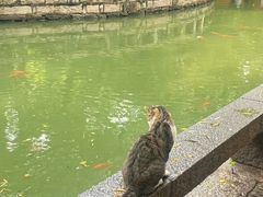-西园戒幢律寺