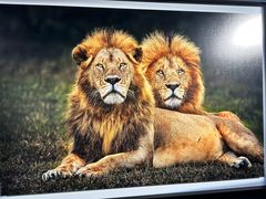 -罗红摄影艺术馆