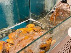 -星璨·自助餐厅-厦门禹洲温德姆至尊豪廷大酒店