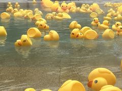 -苏州湾·王焰温泉