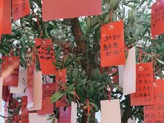 -东升灌浆包(辛庄街总店)