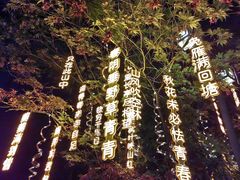 -丽江千古情