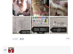 -博康动物诊所(兴国中路店)