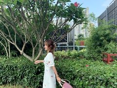 -石厦(地铁站)