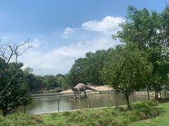 -上海海湾国家森林公园