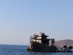 -小普陀