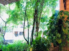 -抚仙湖生态石锅鱼野生菌(告庄店)