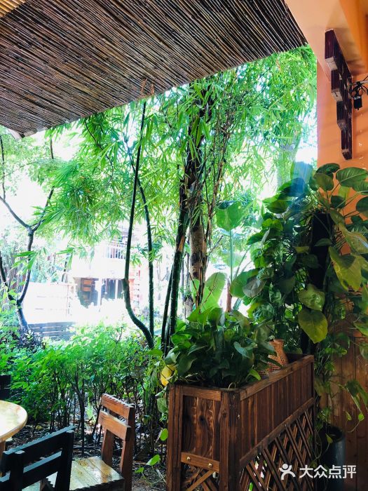 抚仙湖生态石锅鱼野生菌(告庄店)图片