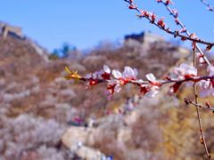 -龙泉峪长城