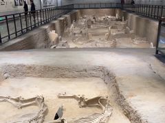 -洛阳周王城天子驾六博物馆