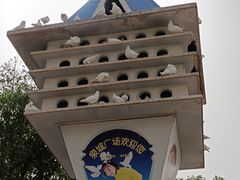 -泉城广场