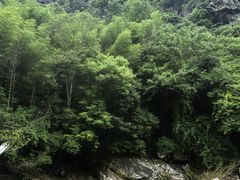 -黄山翡翠谷景区