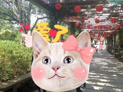 -白马涧龙池景区
