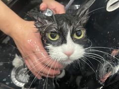 -萌小它宠物健康管理中心(怡海家园店)