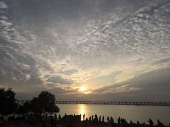 -宝安西湾红树林湿地公园