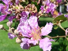 -白沙门生态公园