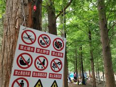 -白水寺森林公园