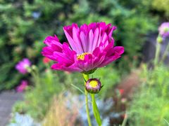 -横滨红砖仓库1号馆