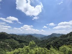 -大岭沟猕猴桃谷风景区