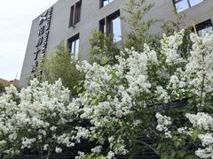 -花韵丁香酒店(北京南站牛街店)