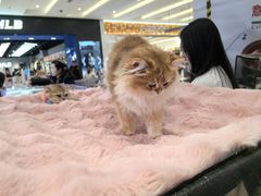 -金茂览秀城