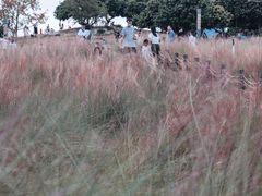 -红花山公园