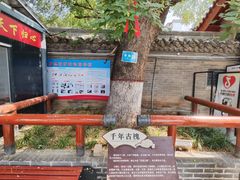 -洛阳周公庙博物馆