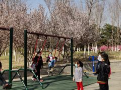 -大兴滨河森林公园