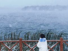 -丁香湖公园