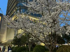 -上海世纪汇广场