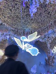 -花嫁丽舍海岛婚礼殿堂(国展店)
