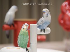 -潮一不贰·法式甜品·生日蛋糕·西式简餐(外滩店)