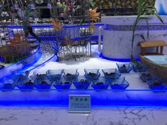 -澜悦港海鲜体验主题餐厅