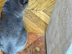 -Me Coffee下午茶艺术空间