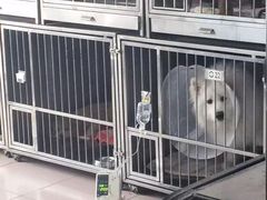 -北京观赏动物医院·24小时大型综合·猫专科·异宠专科