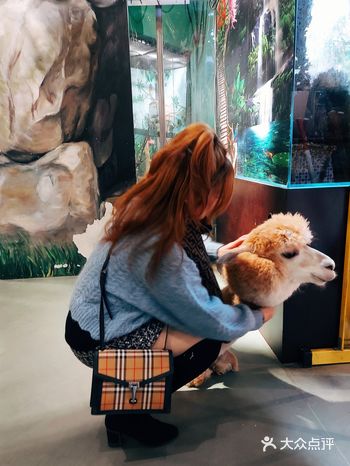 找了个工作日过期小朋友迫不及待的跑来玩小动物