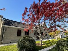 -上海滨江森林公园