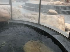 -盘锦红海温泉乐园