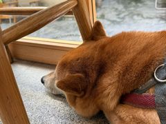 -三目仓咖啡(贤南路店)