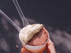 -Dip in Gelato(富民路店)