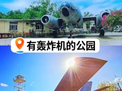 -云岗森林公园