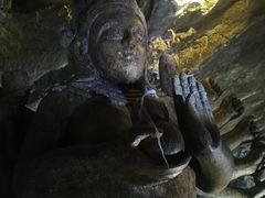 -仙蘑洞